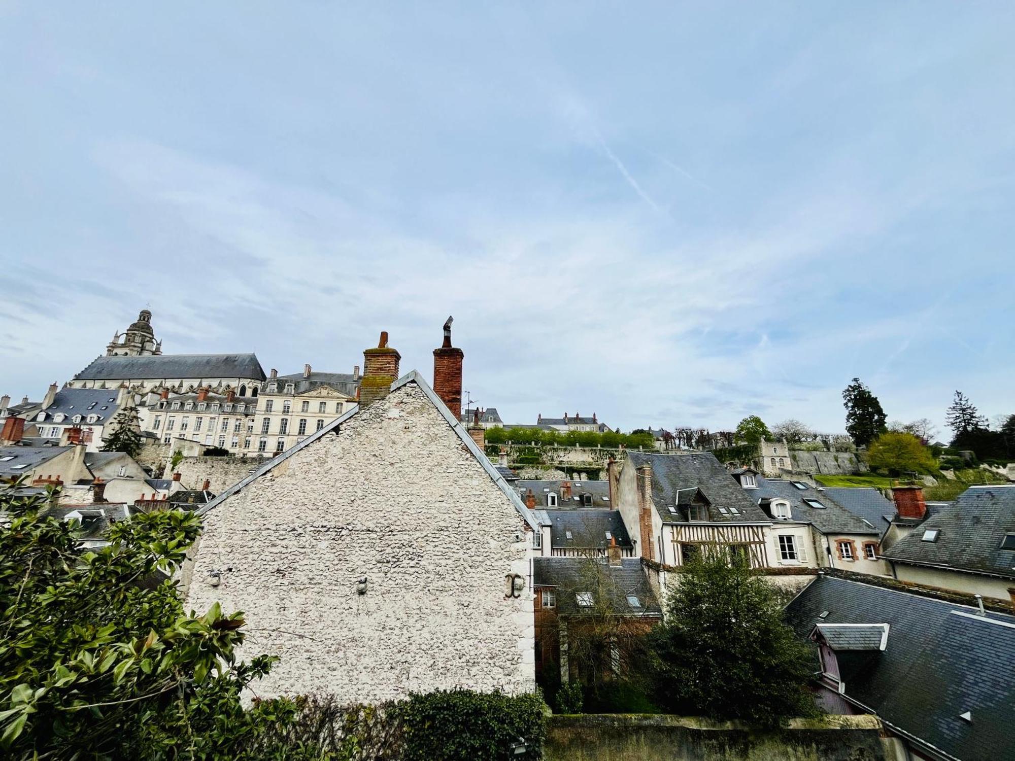 Vue Loire, Hypercentre, Spacieux, Familial, Climatise, Le Quai De Loire Appartement Blois Buitenkant foto